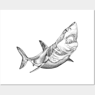 Great White Shark Posters and Art